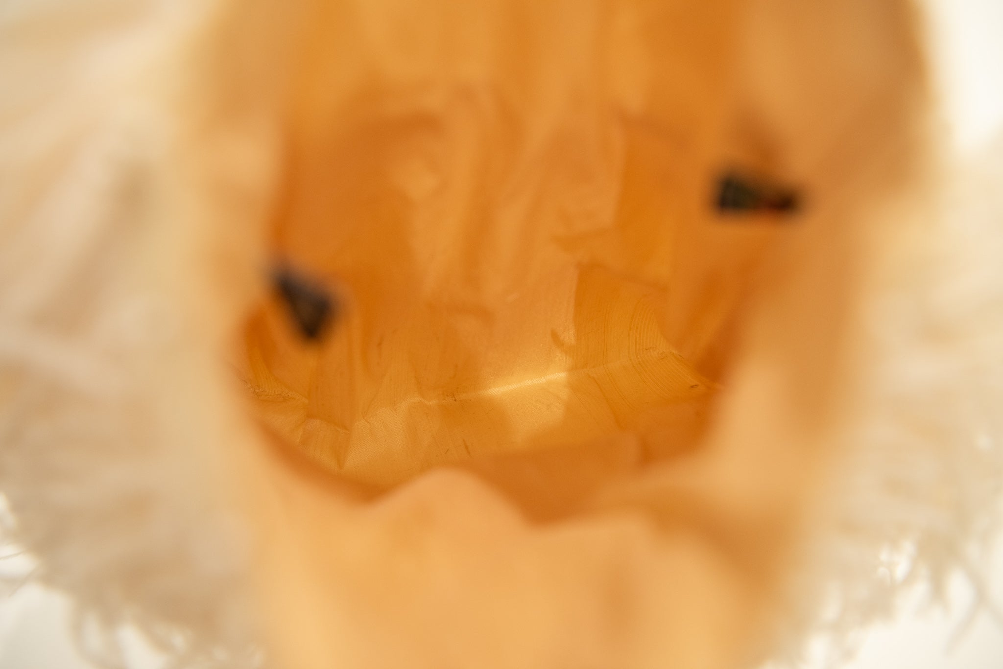 MARYSIA Ostrich Feather Beaded Handbag