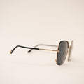 TOM FORD TF1006 Raphaella Sunglasses